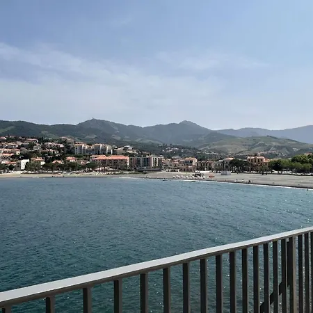 A Banyuls-sur-mer, Vue Mer, Centre-ville, Proche Plages - Fr-1-225c-174 *